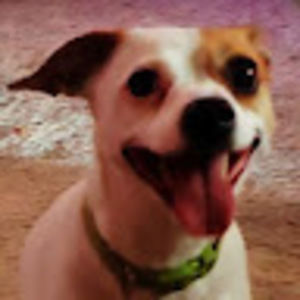 Meet your Posher, Cody